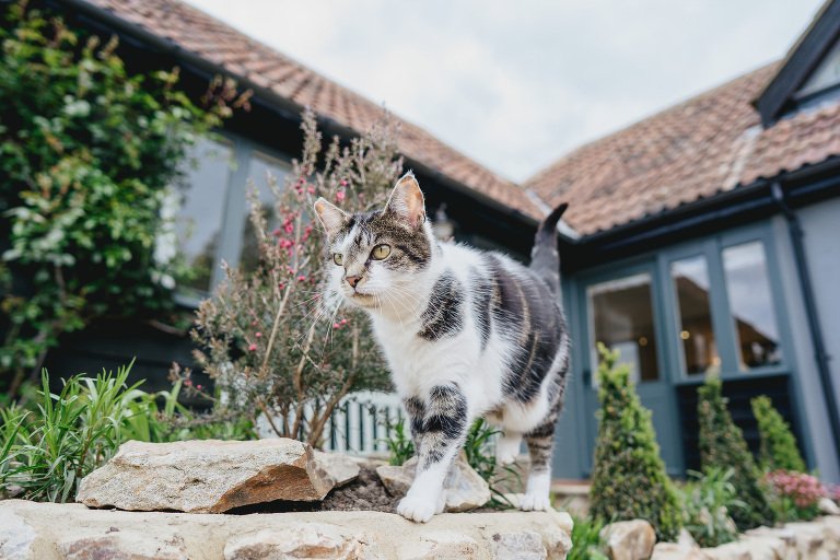 An Intimate Wedding At River Cottage Lindsey Ash Helen Lisk